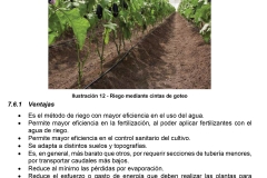Tipologías de Riego-22